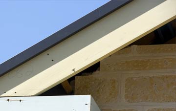 Mold fascia repairs