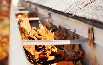Mold gutter cleaning companies
