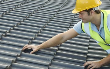screened Mold roofing companies