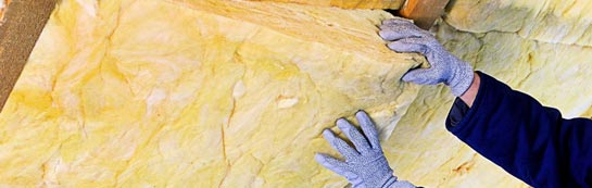 quotes for Mold roof insulation