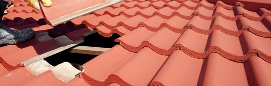 compare Mold roof repair quotes