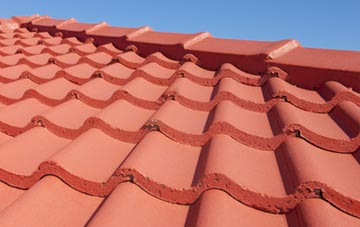 Mold tile and slate roof replacement