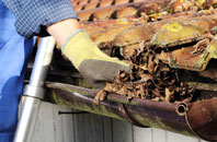 Mold gutter cleaners