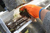 rated Mold gutter cleaning companies